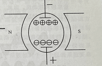 Illustration of electrolyte polarization